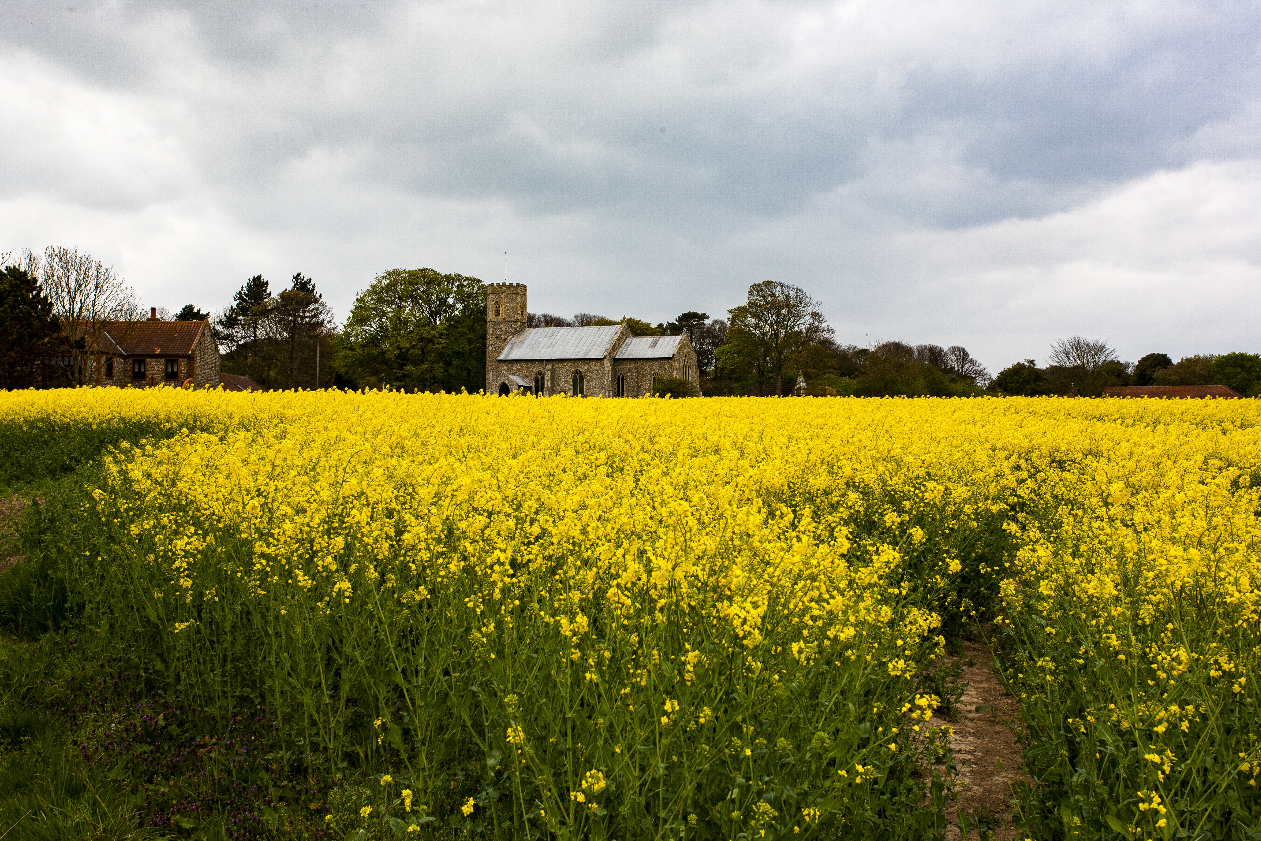 Picturesque Norfolk village with traditional cottages and countryside